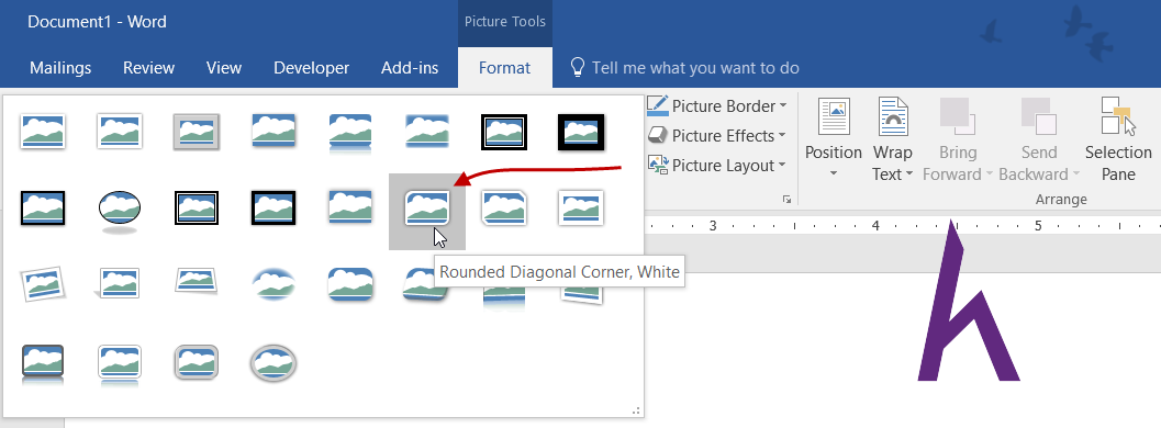 Thao tác chọn kiểu hình mong muốn từ chức năng Format