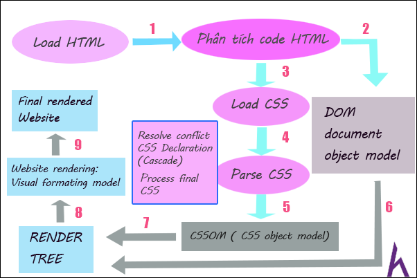Cách hoạt động của CSS, CSS, SASS, front end, landing page, website cơ bản